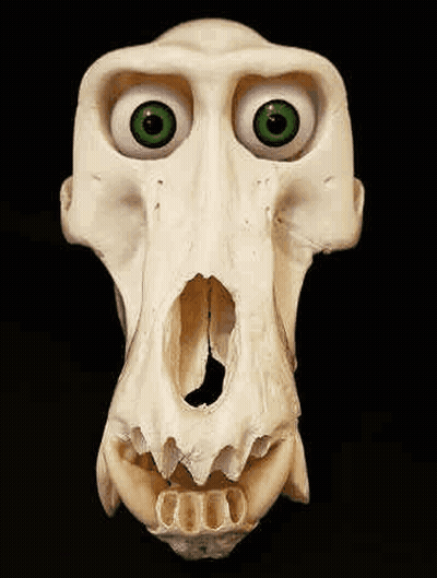 Skull With Green Eyes Like A Monkey GIF