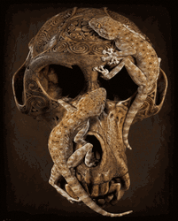 Skull With Lizards Art