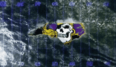 Skull With Purple And Yellow Ribbon GIF