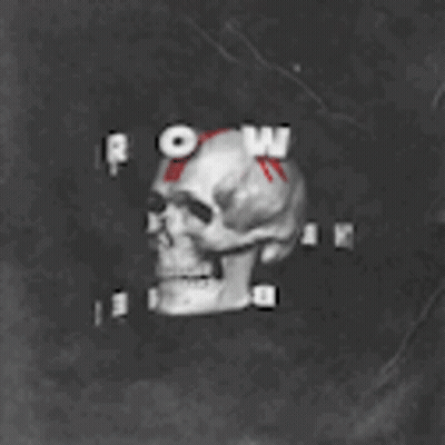 Skull With Red Letter N GIF