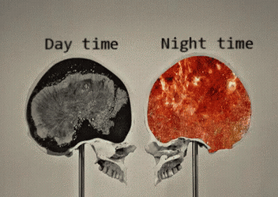 Skulls Showing Day And Night GIF