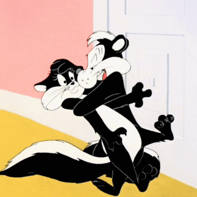 Skunk And Cat Hugging GIF
