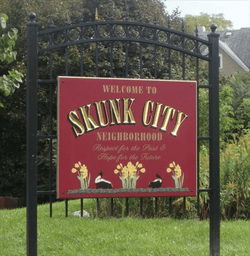 Skunk City Gateway GIF