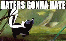 Skunk Haters Gonna Hate GIF