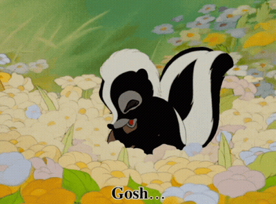 Skunk in Flower Field Saying Gosh