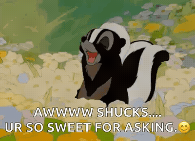 Skunk Saying Aww Shucks You're So Sweet GIF