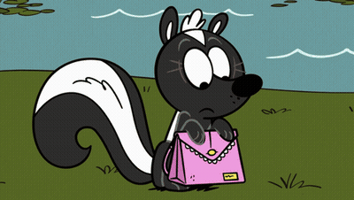 Skunk Saying Hi Noup GIF