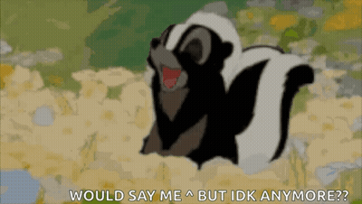 Skunk GIFs