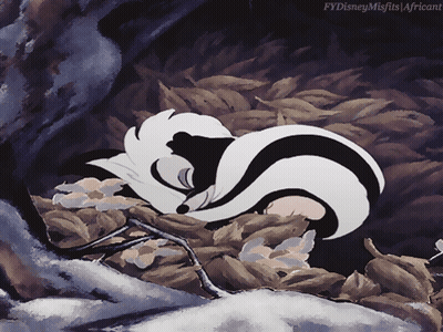 Skunk Sleeping In Leaf Pile Fydisneymisfits Africant GIF