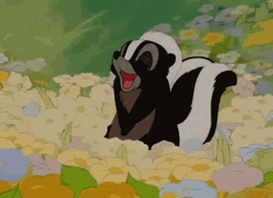 Skunk You Make Me Happy GIF