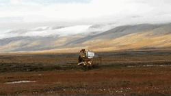 Sky Baneblade Fall GIF