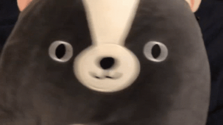 Skyler Skunk Squishmallow Playful GIF