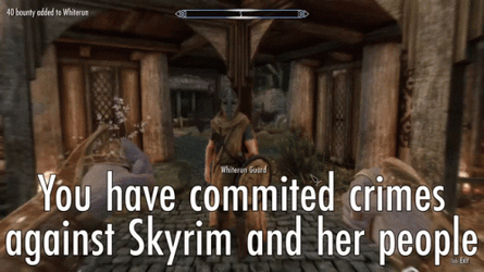Skyrim Guard Whiterun GIF