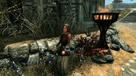Skyrim Lydia The Elder Scrolls GIF
