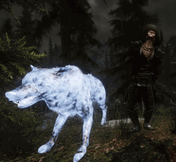 Skyrim Nexus Wolf GIF