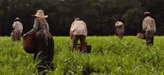 Slavery Traditional Farmers GIF