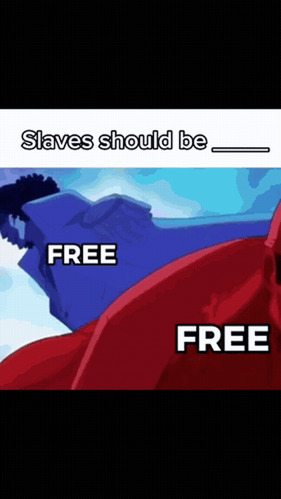 Slaves Should Be Free Meme GIF