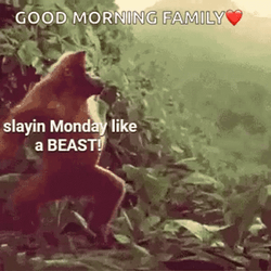 Slaying On Marvelous Monday GIF