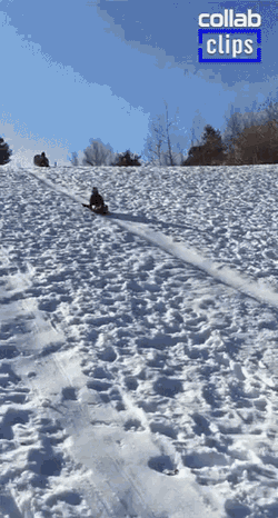 Sledding Snow Day GIF