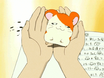 Sleep Cute Hamtaro Sleeping In Hands GIF