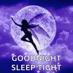 Sleep Tight Good Night Fairy Moon Sparkle GIF