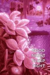 Sleep Tight Good Night Sparkle Pink Flowers GIF