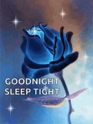 Sleep Tight Sparkling Blue Rose GIF
