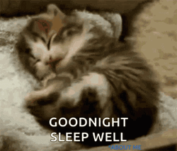 Sleep Well Kitten GIF