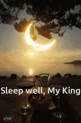 Sleep Well My King GIF