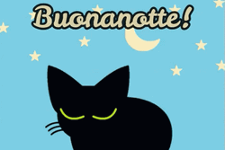Sleeping Black Cat Buona Notte GIF