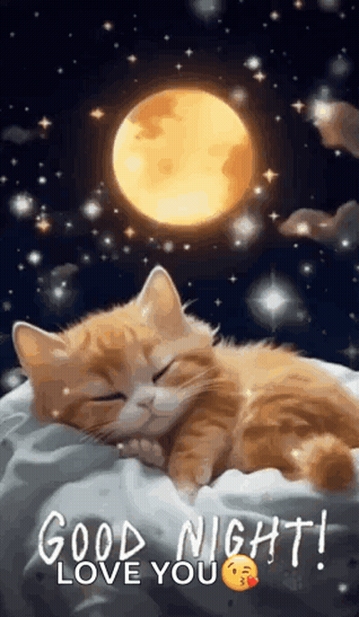 Sleeping Cat On Pillow With Moon GIF