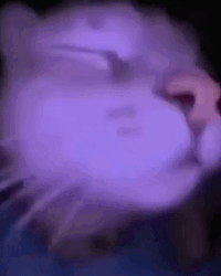 Sleeping Cat Vibing GIF