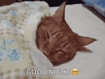 Sleeping Cat With Good Night Text GIF