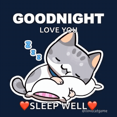 Sleeping Cat With Goodnight Love You
