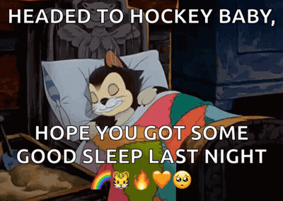 Sleeping Cat With Headed To Hockey Baby GIF