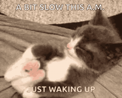 Sleeping Cat With Waking Up Text GIF