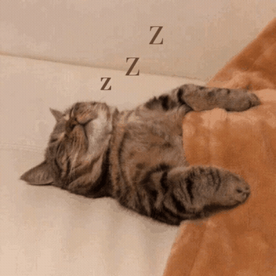 Sleeping Cat With ZZ GIF