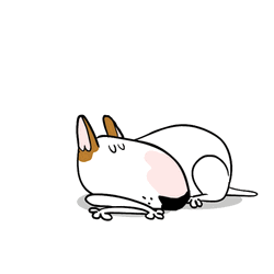 Sleeping Dog Jimmy The Bull Sticker GIF