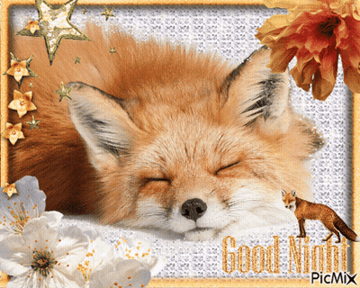 Sleeping Fox Good Night GIF