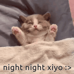 Sleeping Kitty Nighty Night GIF