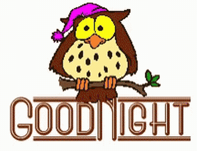 Sleeping Owl Saying Goodnight GIF