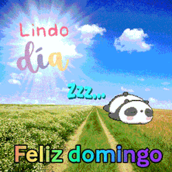Sleeping Panda Feliz Domingo Digital Art GIF