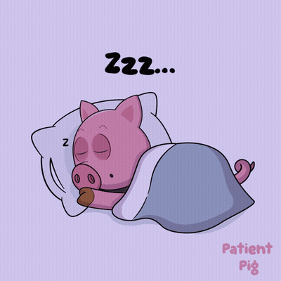 Sleeping Pig In Bed Saying Zzz Patient Pig GIF