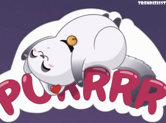 Sleeping Purr Cute Cat GIF