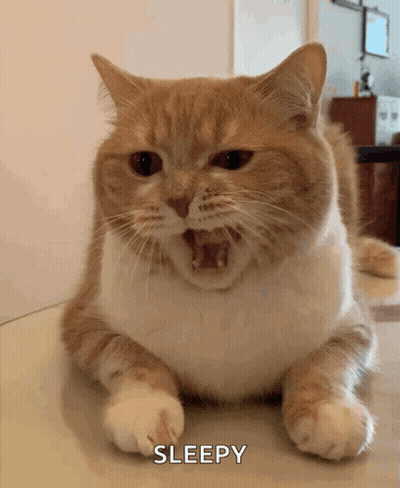Sleepy Cat Lying On Table GIF