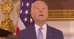 Sleepy Head Biden Ice Cream GIF