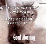 Sleepy Head Cats Humor Good Morning Tuesday GIF