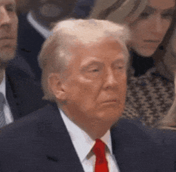 Sleepy Nap GIF
