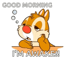 Sleepy Squirrel Im Awake GIF