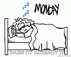 Sleepy Still  Monday Motivation GIF